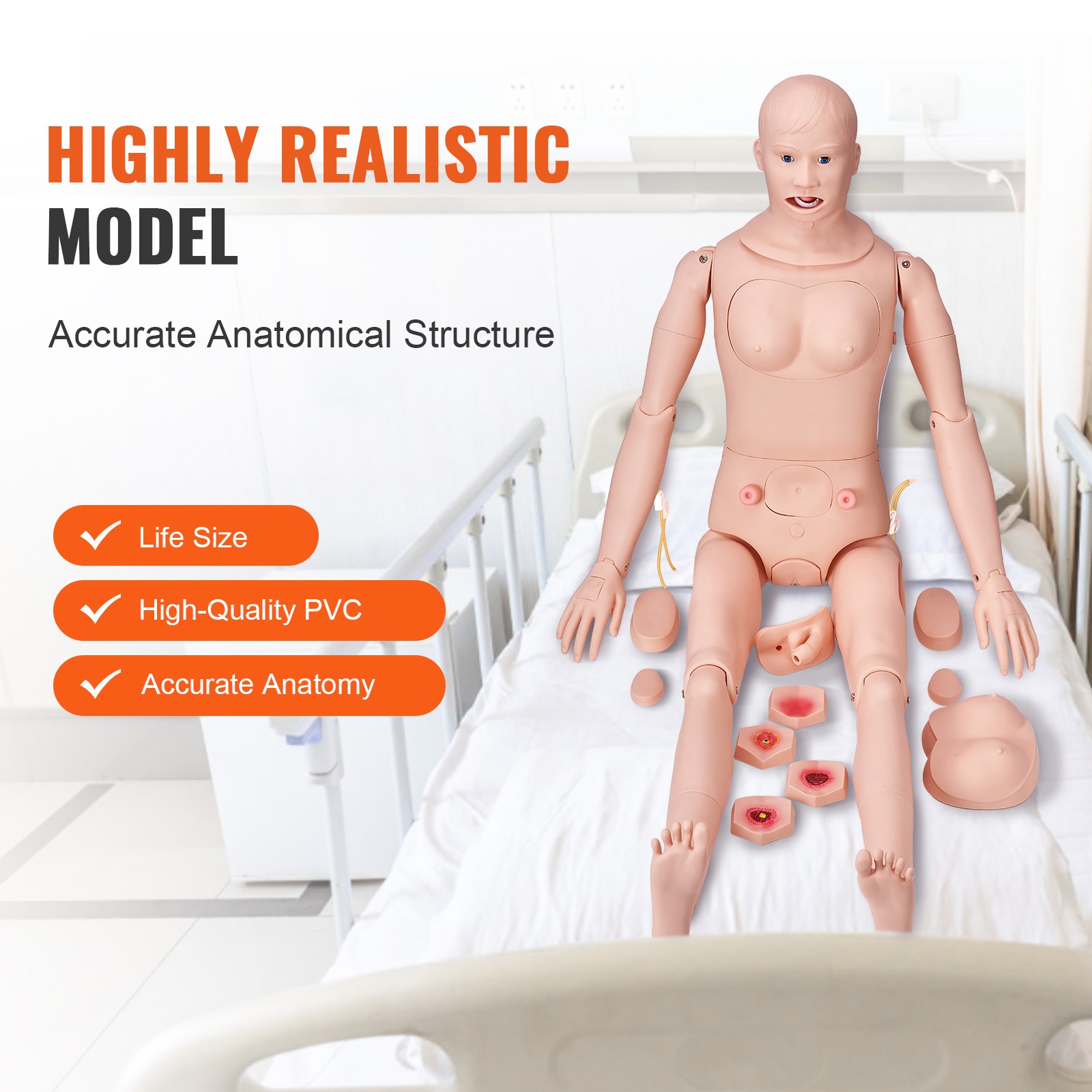 Uimoso Male/Female Manikin Model Anatomical Nursing Training Patient Care Teach