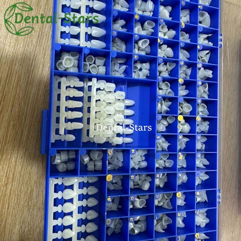 Dental Polycarbonate Temporary Crowns 66 Sizes Anterior Cuspid Resin Crown 390Pc