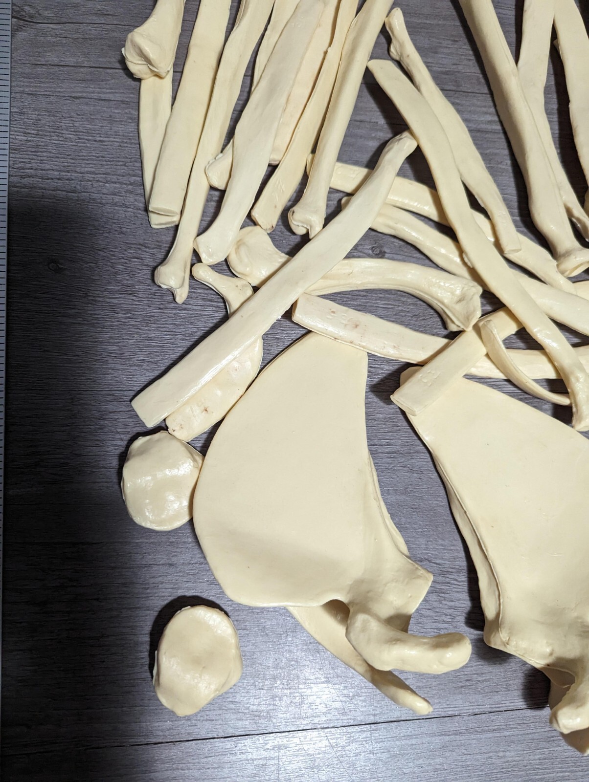 Large Lot Of Anatomical Replica Bones Model Medical Educational Halloween Prop