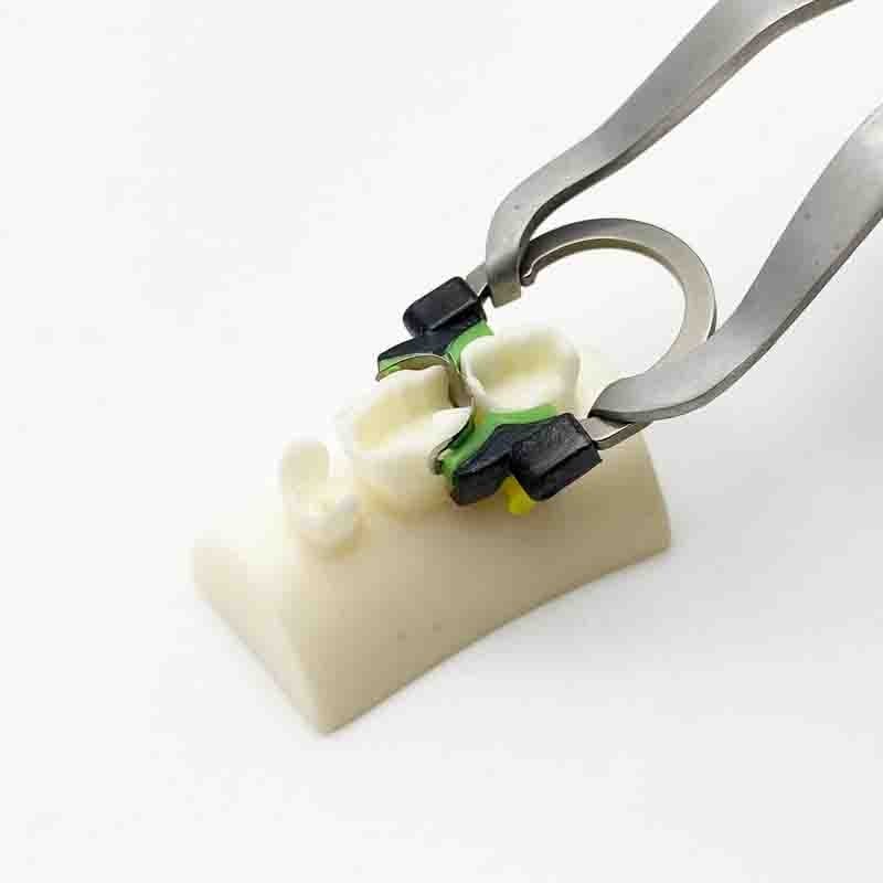 Dental Matrix System Ring R5 Band Nickel Titanium Garrison Palodent V3 System
