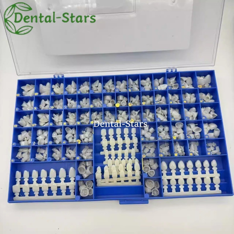 Dental Polycarbonate Temporary Crowns 66 Sizes Anterior Cuspid Resin Crown 390Pc