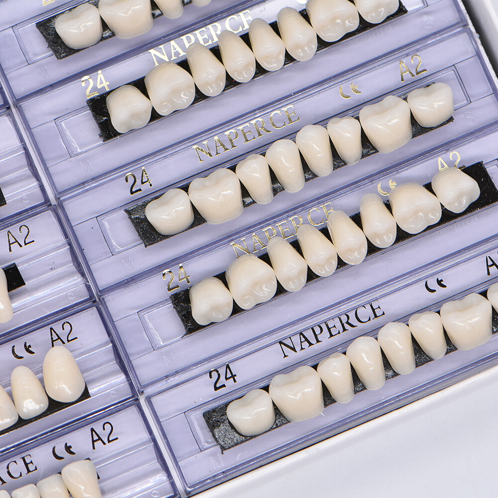 168Pcs Acrylic Resin Denture #24 Dental Upper Lower Shade A2 Teeth Set USA