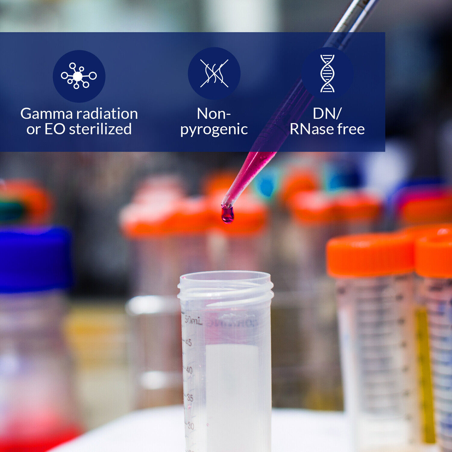 MS@ Conical Plastic Centrifuge Test Tubes 50mL 50Pcs Sterilized White Mark Area