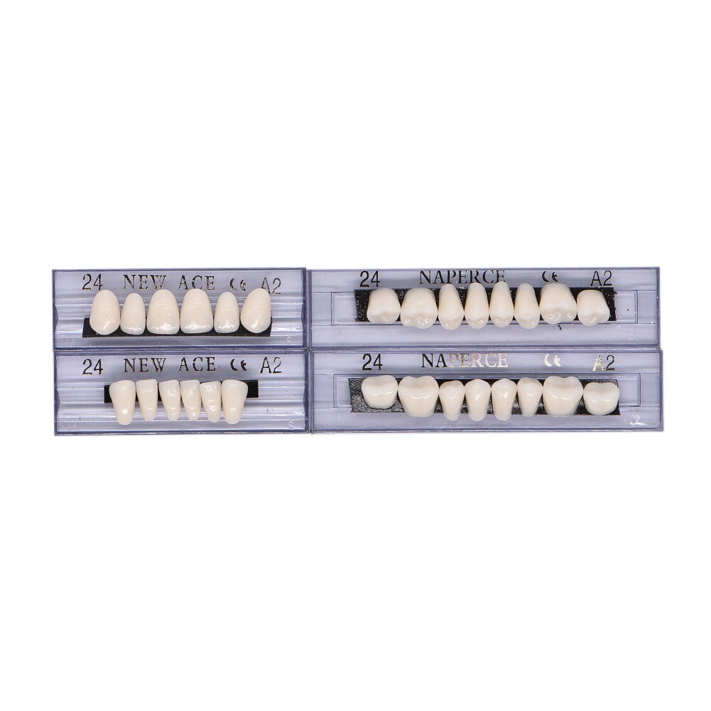 168Pcs Acrylic Resin Denture #24 Dental Upper Lower Shade A2 Teeth Set USA