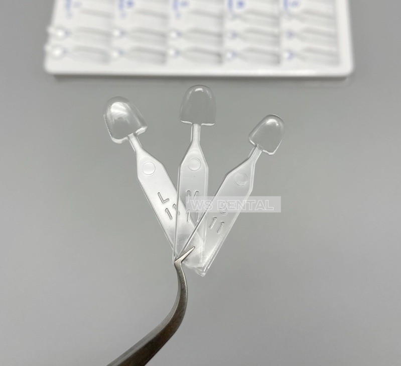 Dental Veneers Mould Composite Resin Anterior Posterior Teeth Molar Restoration