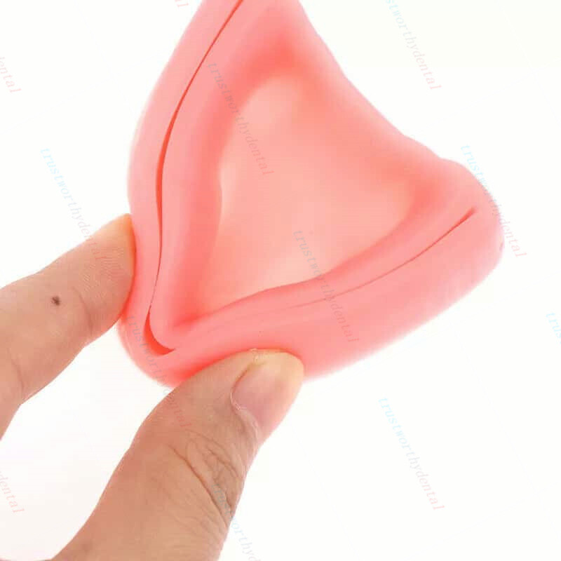 Dental Gum Teaching Training Surgical Suture Reverse Cut Simulation Suture Model