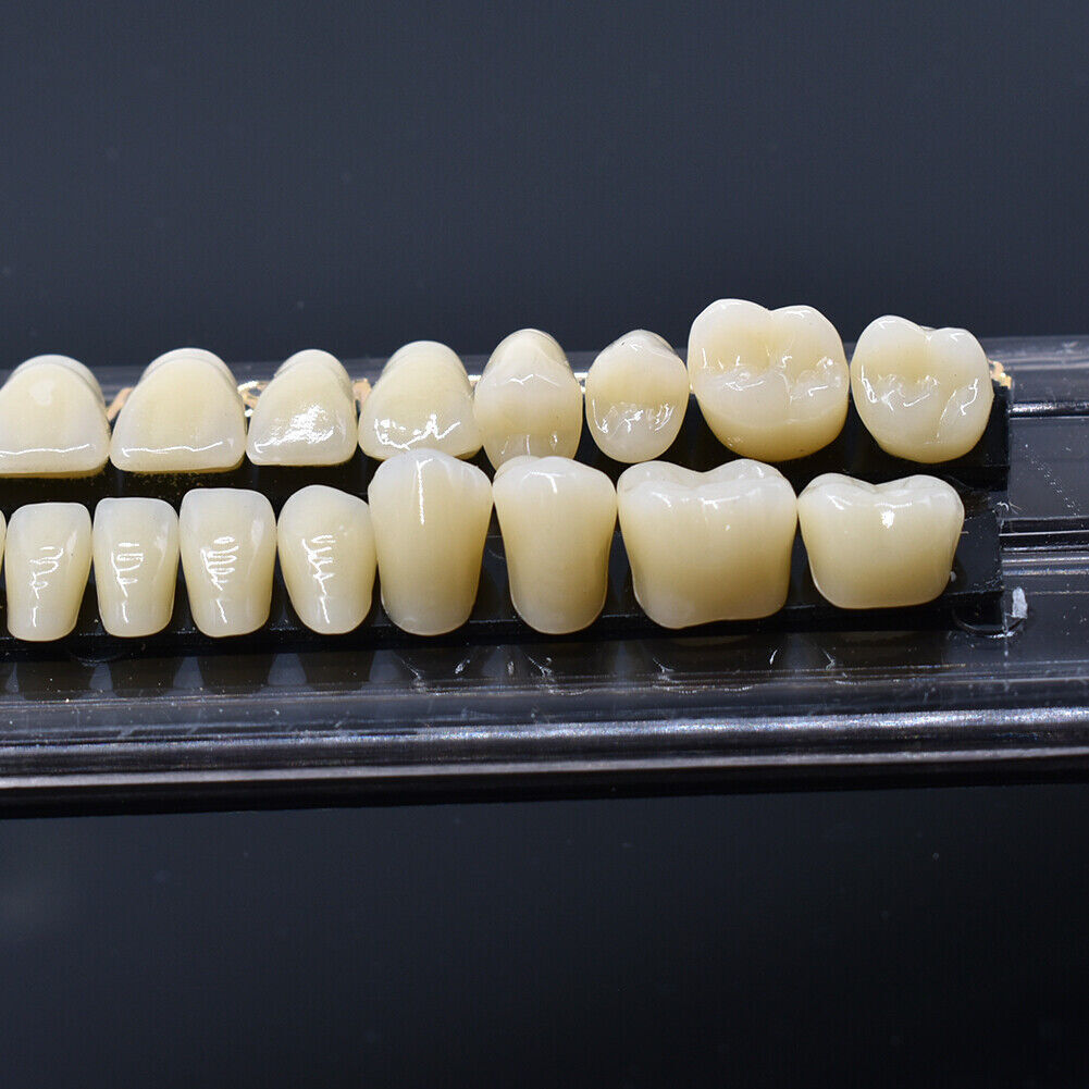 28 Pcs/Set Dental Denture Acrylic Resin Full Teeth Upper Lower Shade 23# A2/A3