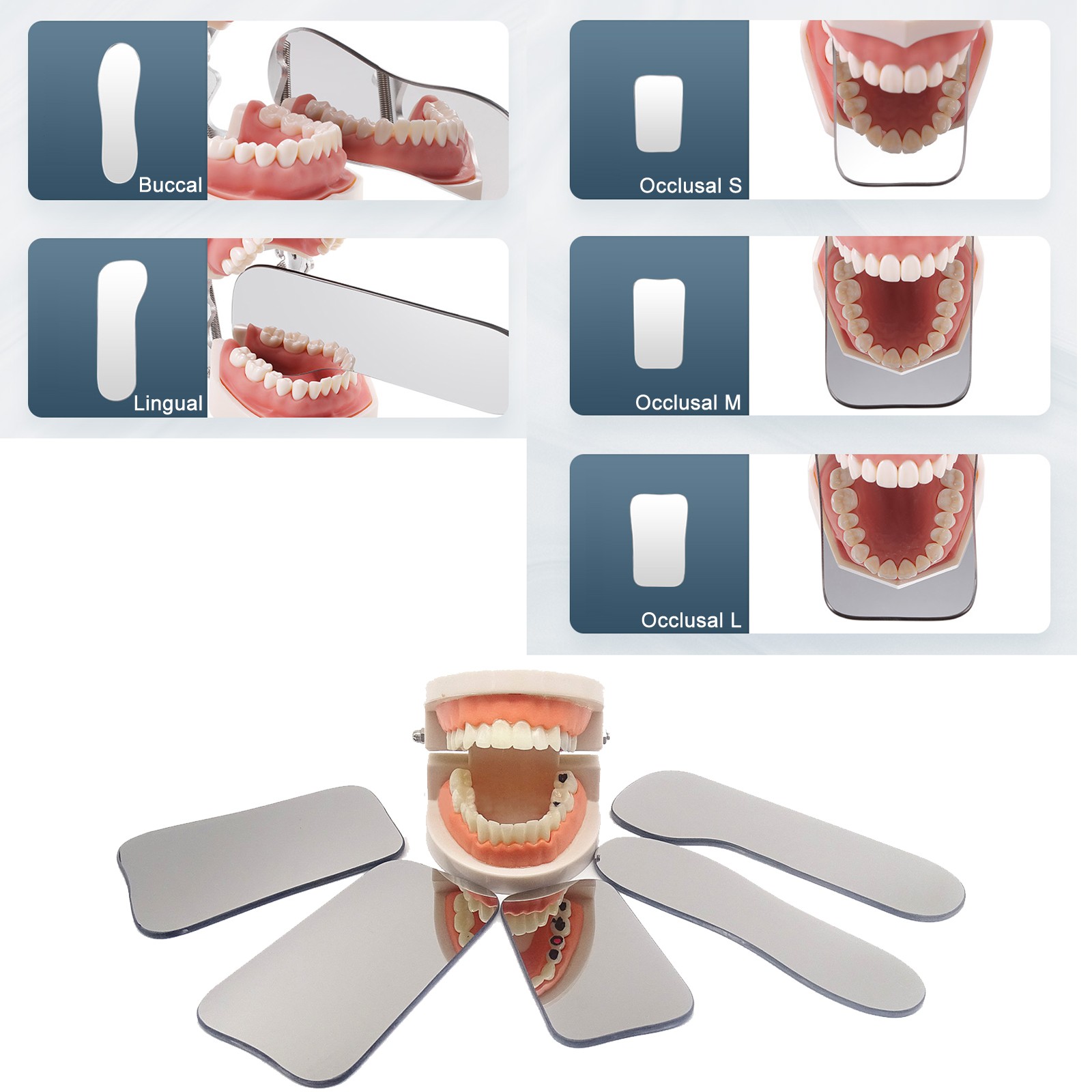 Dental Intraoral Orthodontic Occlusal 2Side Photographic Glass Mirror Photograpy