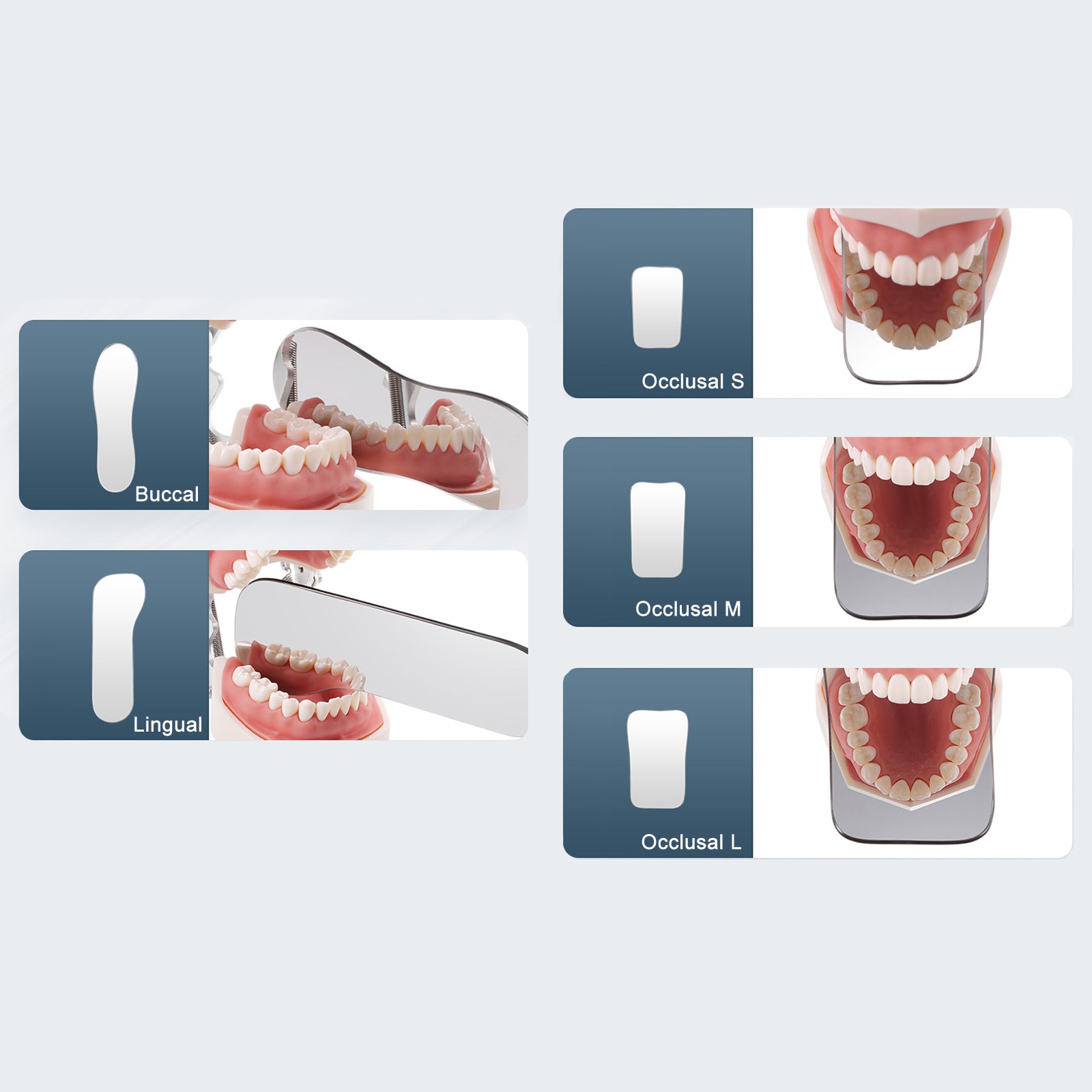 Dental Intraoral Orthodontic Occlusal 2Side Photographic Glass Mirror Photograpy