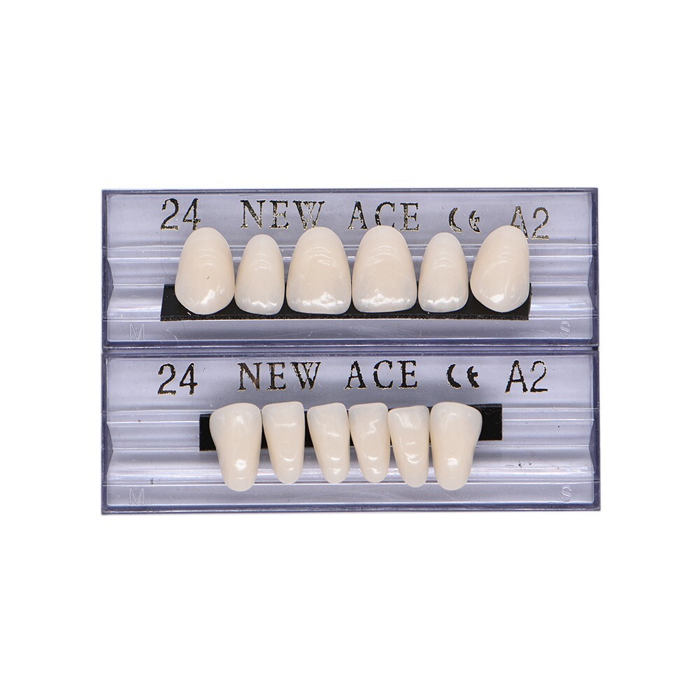 168Pcs Acrylic Resin Denture #24 Dental Upper Lower Shade A2 Teeth Set USA