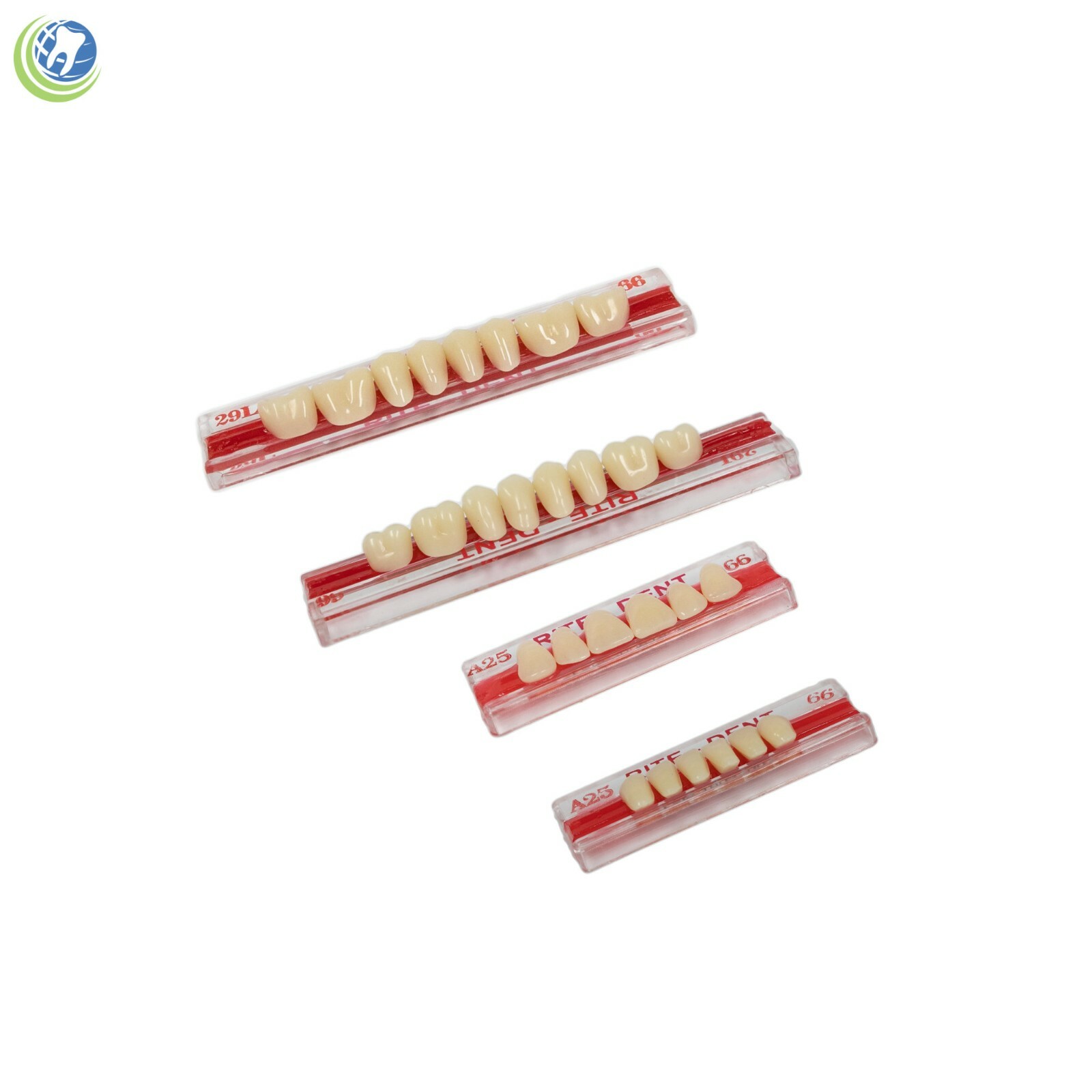 Set Completo Profesional De Crear Dentaduras Postizas Prótesis Sin Instrucciones