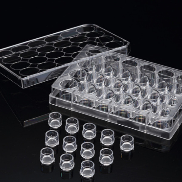 3D Cell Culture Plate Insert™ Hanging, PET, 0.4/3/8μm, 6 Pcs/PK, 24 Pcs/CS