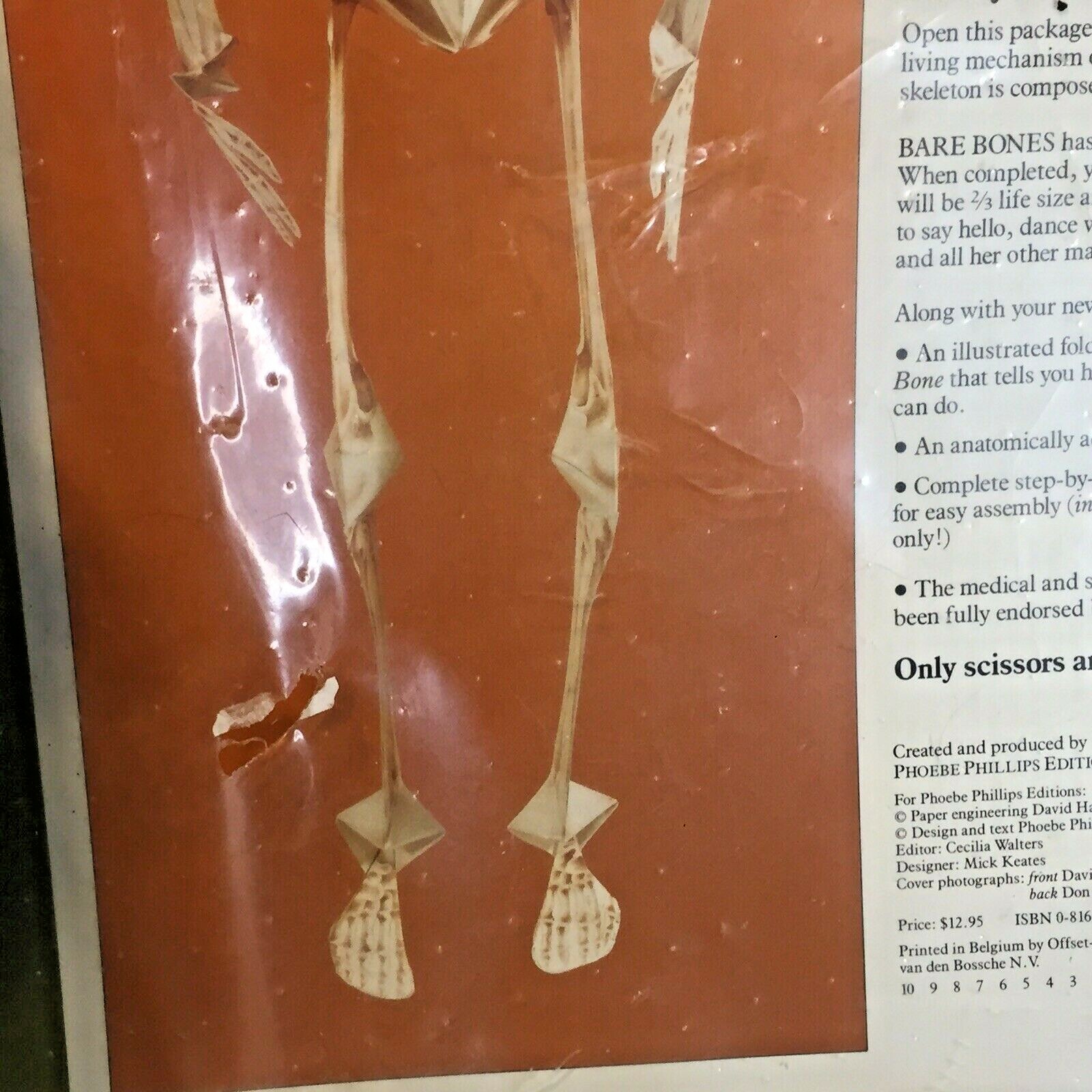 Vtg Halloween Bare Bones Human Paper Mobile Skeleton Model by David Hawcock NIP