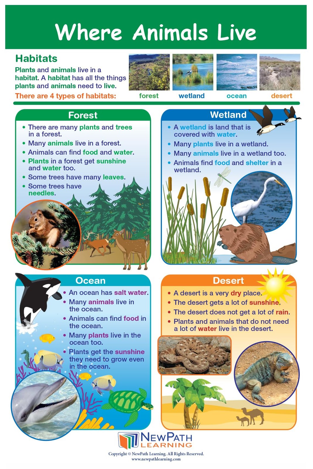 1 Science Anchor Charts Set of 10 (12×18″) & 25-Page Resource Guide Covering …