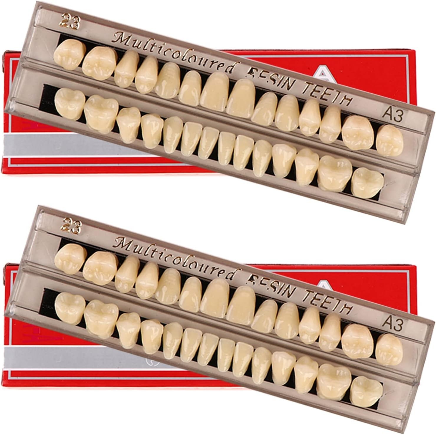 Synthetic Polymer Dentures – 56 Pcs in A3 Color for Realistic Halloween Looks