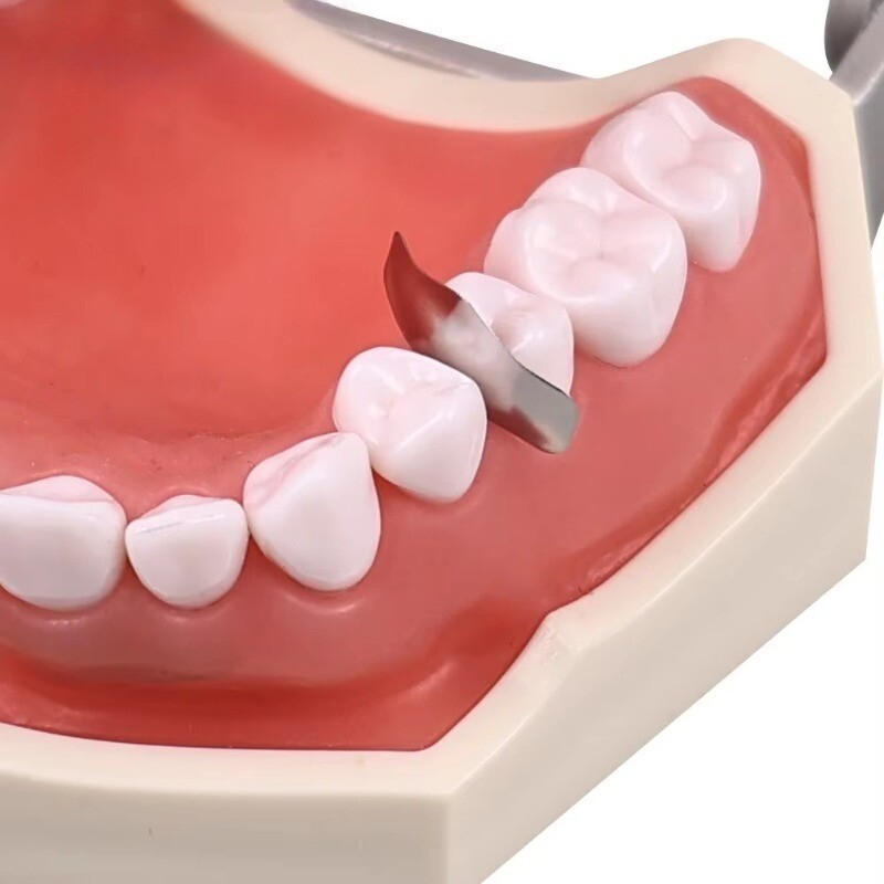 Premium Dental Sectional Matrix Bands Contoured Metal Matrices with Hole 50pcs