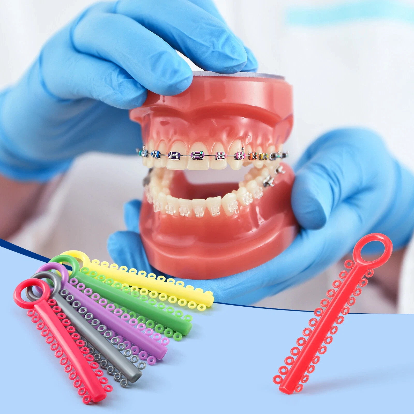 1040pc Orthodontic Elastic Ligature Tie Rubber Braces Dental Ligadura Ortodoncia