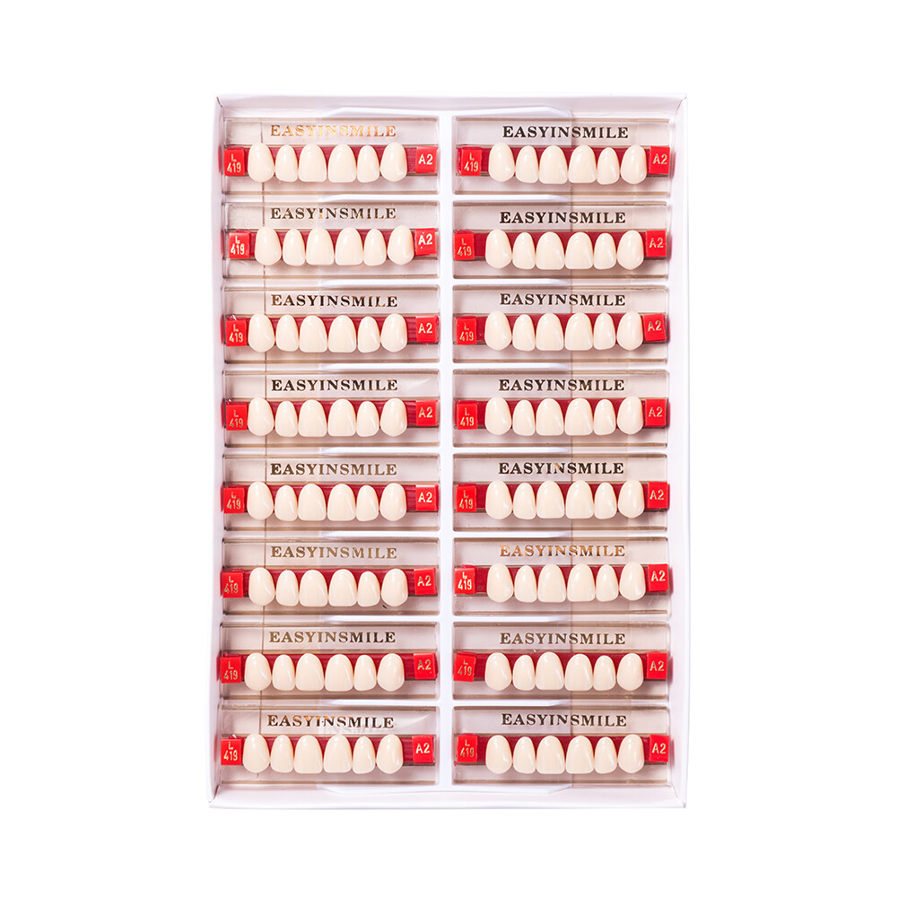Dental Acrylic Resin Tooth Denture False Teeth Upper Anterior Lower 6Set*16Pc