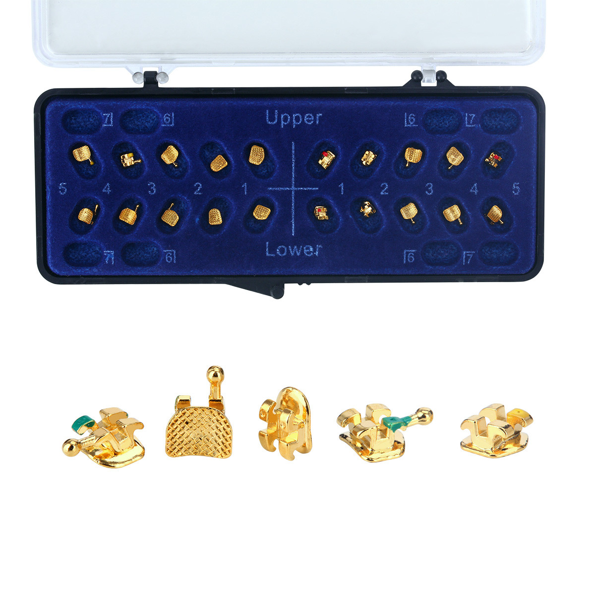 AZDENT Dental Orthodontic Metal Brackets 24K Gold Coated Mini Roth 022 Hooks 345