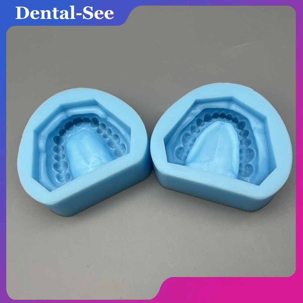 Dental Plaster Model Mold Mould of Edentulous Jaw Complete Cavity Block Silicone