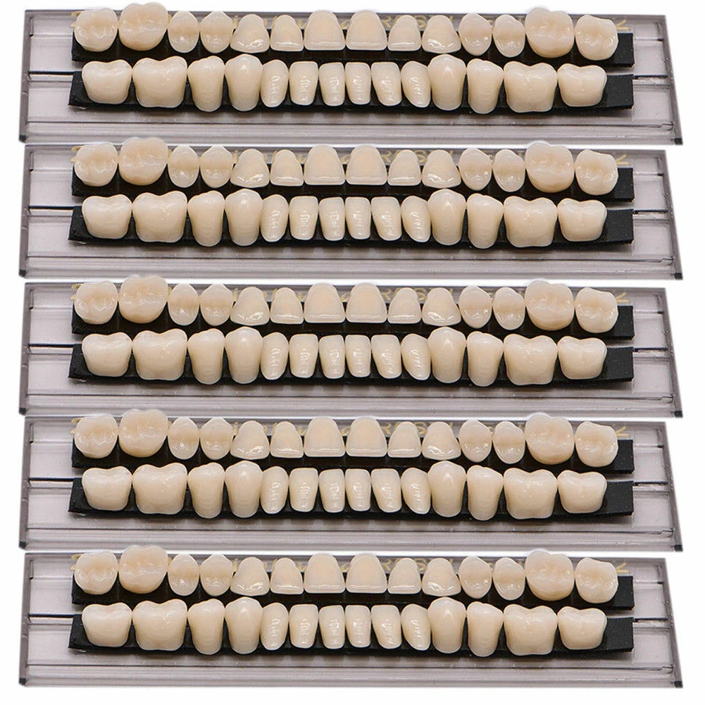 28 Pcs/Set Dental A2 A3 Acrylic Resin Denture Shade Full Set False Teeth #23