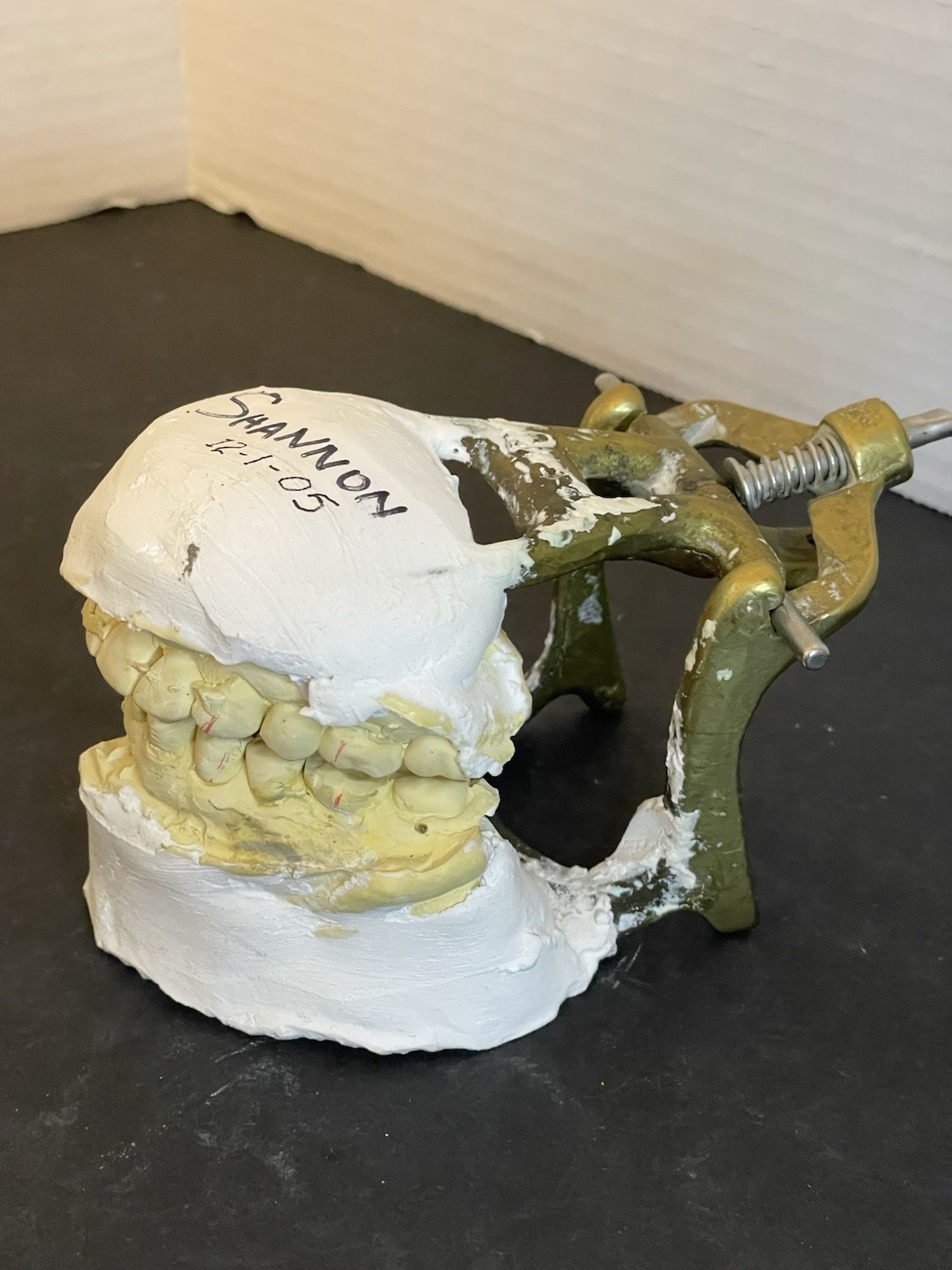 Dental Articulator Implant Case Medical Oddity Macabre Curiosity Halloween Prop