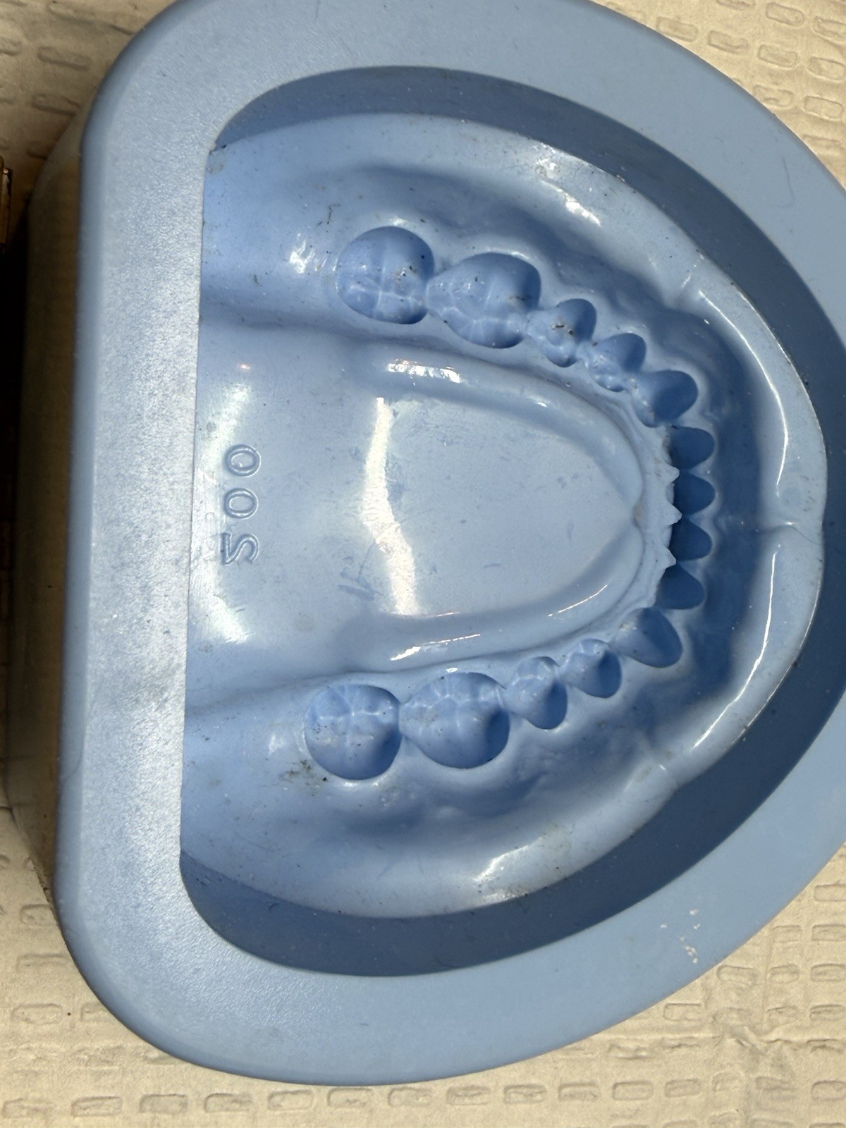 Dental Mold Cast Silicone Plaster Stone Maxillary Mandibular Maxilla Mandible