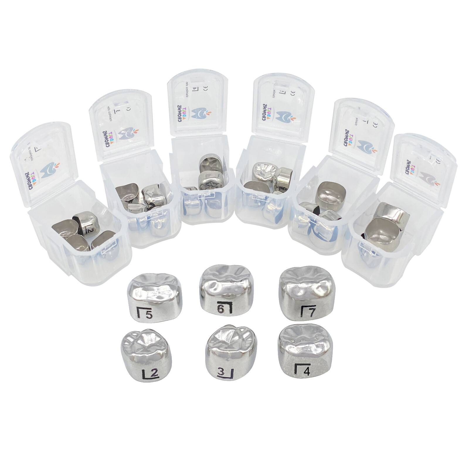 DENTAL STAINLESS STEEL Adult Permanent Molar CROWN All Size 5/Pk Compare to 3M