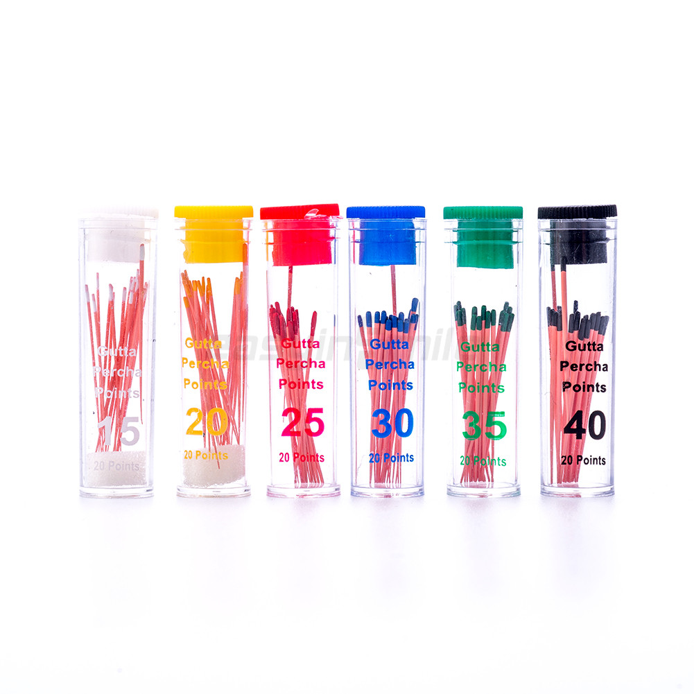 Endodontic Gutta Percha Point Taper 02/04/06 GP Points for Dentistry Bottle Pack