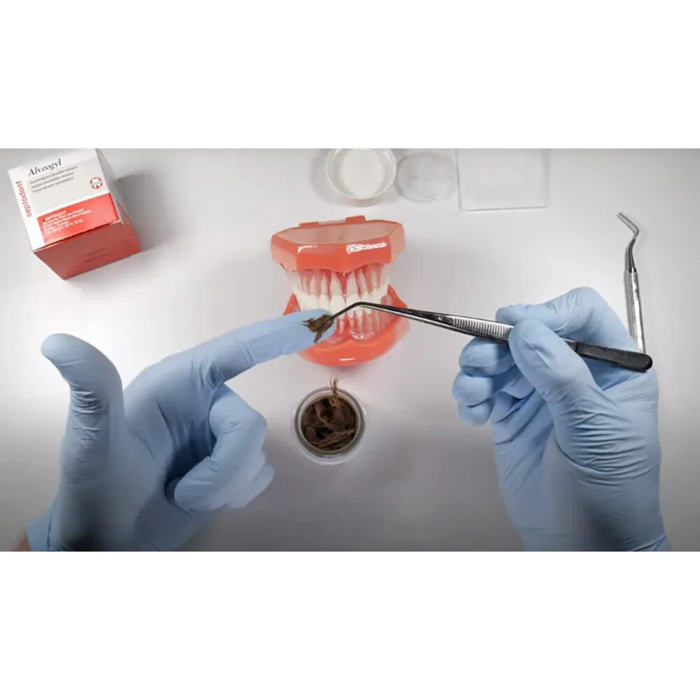 Septodont Alveogyl Paste Dry Socket Treatment Dental Material 10gm jar