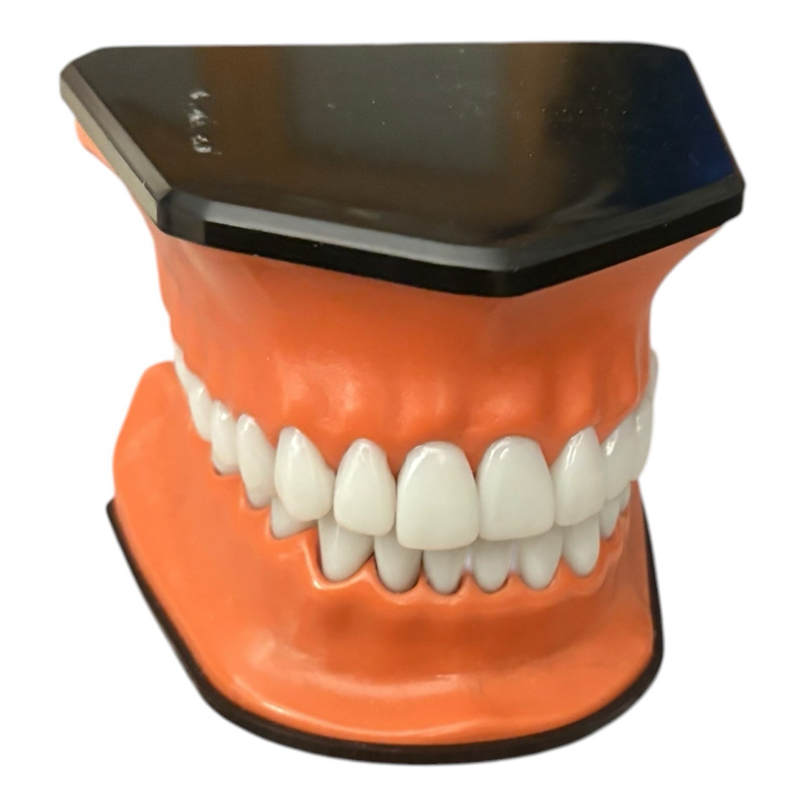 Henry Schein TP-100 Oversized Oral Teaching Dental Patient Education Display