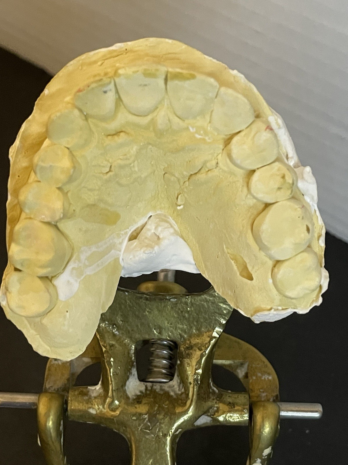 Dental Articulator Implant Case Medical Oddity Macabre Curiosity Halloween Prop