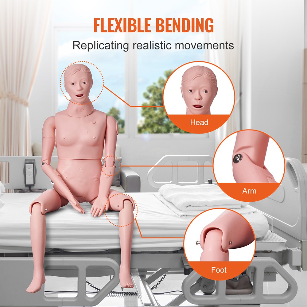 Female Manikin Model Anatomical Nursing Training Teaching Patient Care Practice