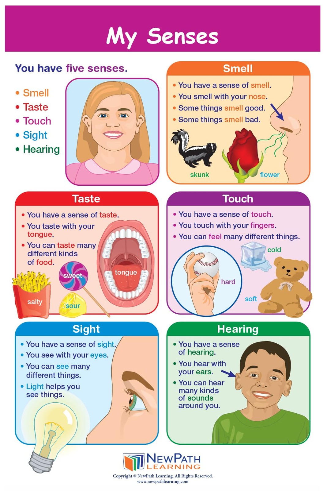 1 Science Anchor Charts Set of 10 (12×18″) & 25-Page Resource Guide Covering …