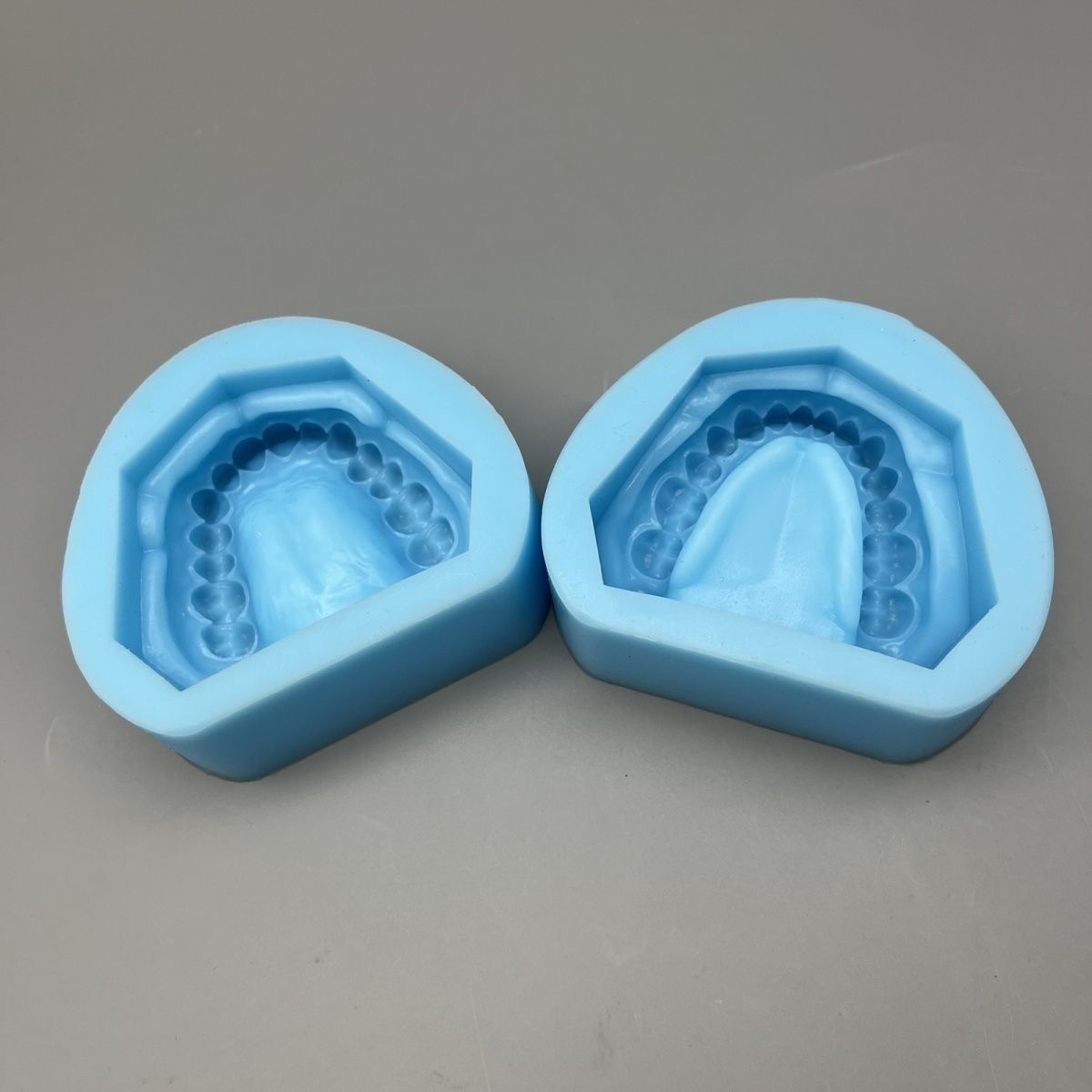 Dental Plaster Model Mold Mould of Edentulous Jaw Complete Cavity Block Silicone