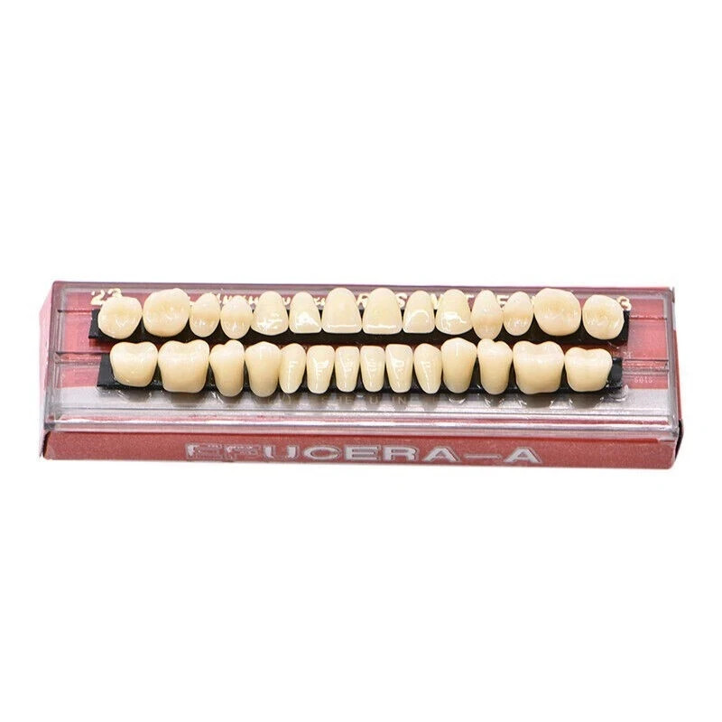 28 Pcs/Set Dental A2 A3 Acrylic Resin Denture Shade Full Set False Teeth #23