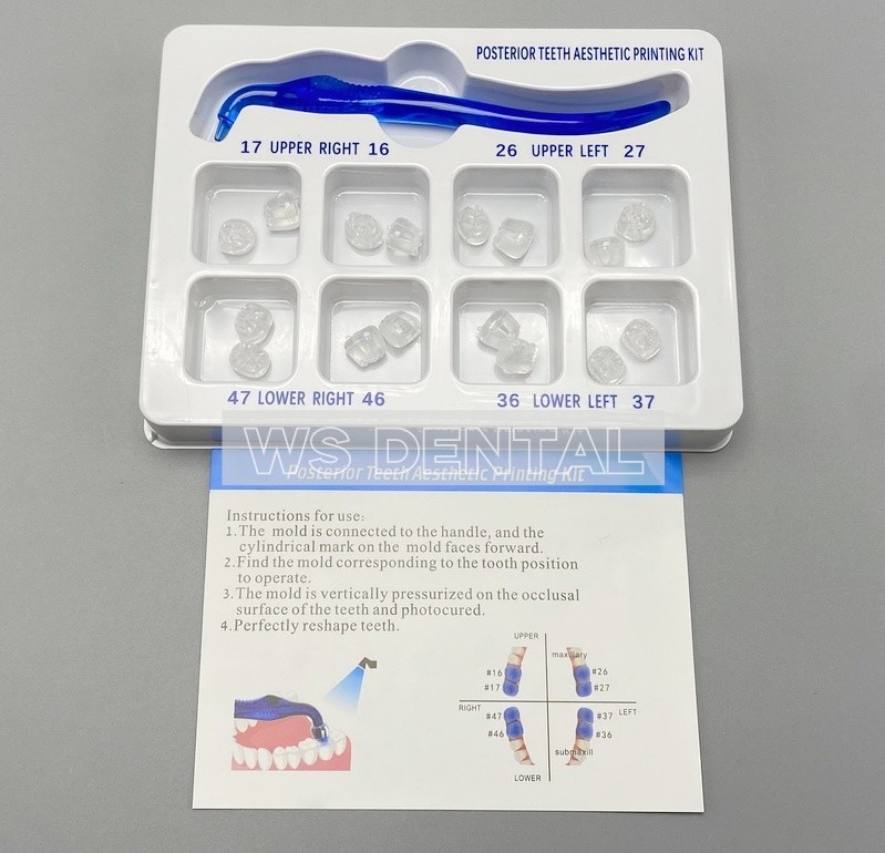 Dental Veneers Mould Composite Resin Anterior Posterior Teeth Molar Restoration