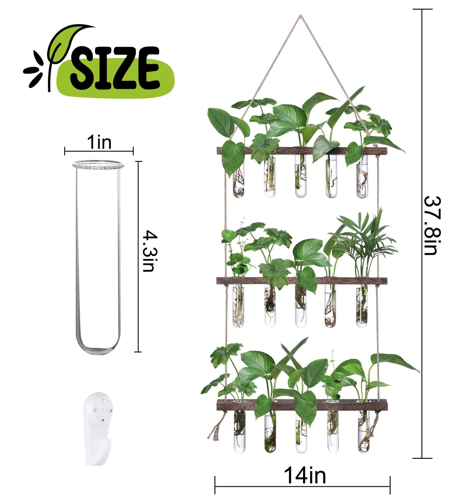 XXXFLOWER Wall Hanging Propagation Station with Wooden Stand 5 Glass Test Tubes