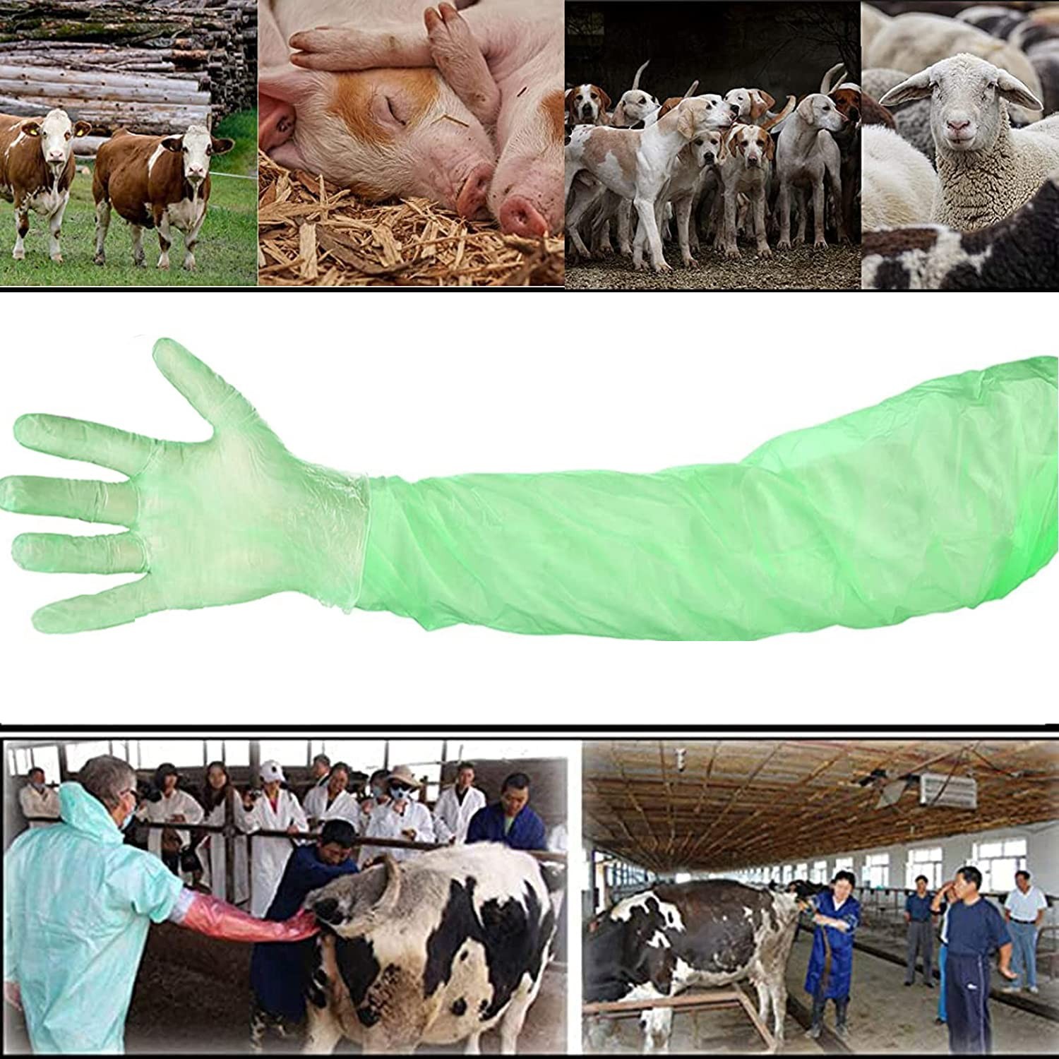 100 Pcs Field Dressing Gloves Deer Hunting Extra Long Disposable Glov…