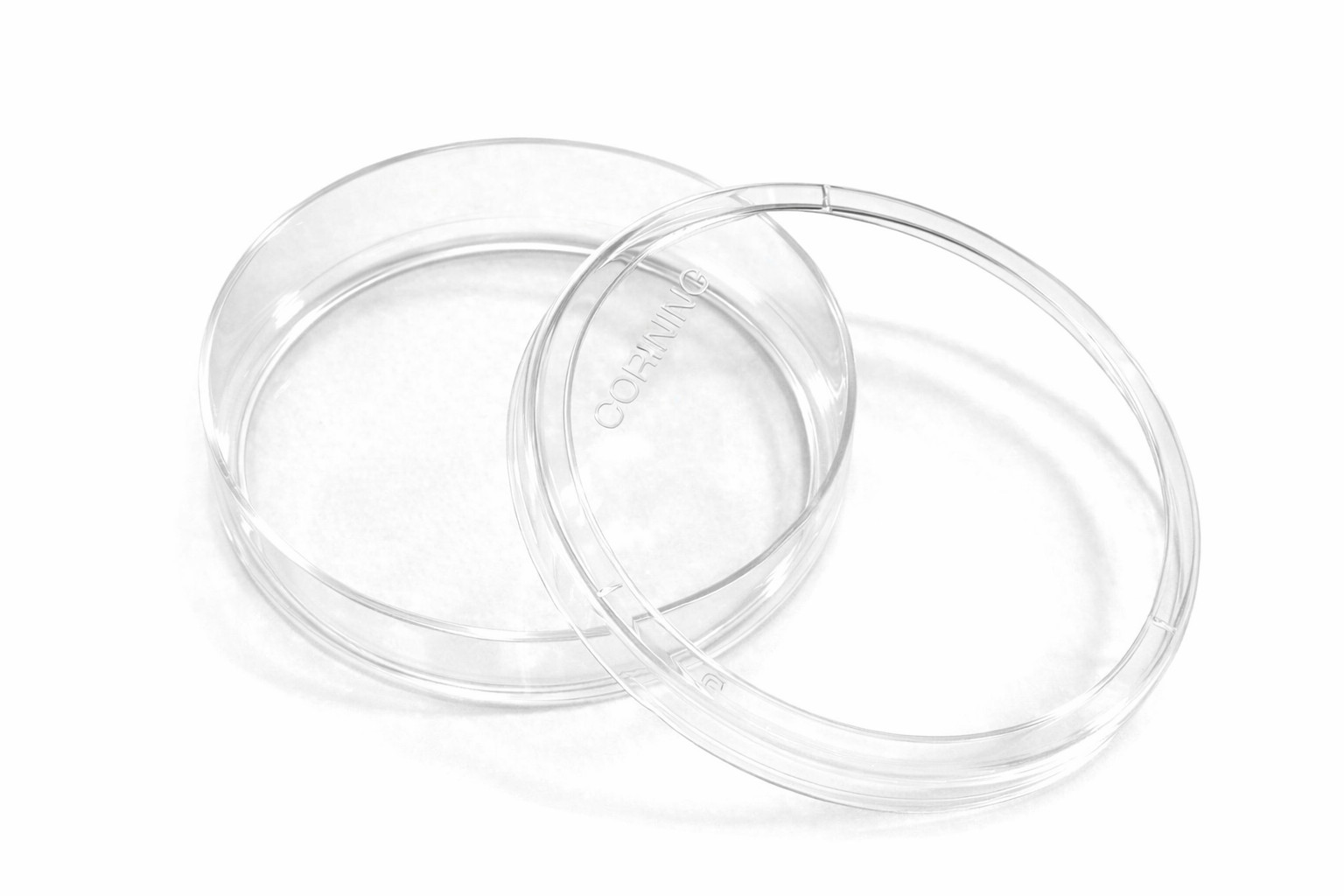 Corning 430165 – 35mm Petri Dishes – 20 Pack – Mycology / Microbiology / Lab