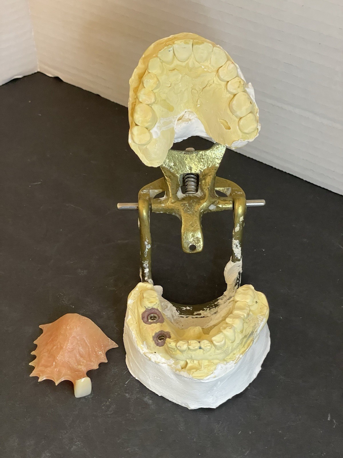 Dental Articulator Implant Case Medical Oddity Macabre Curiosity Halloween Prop