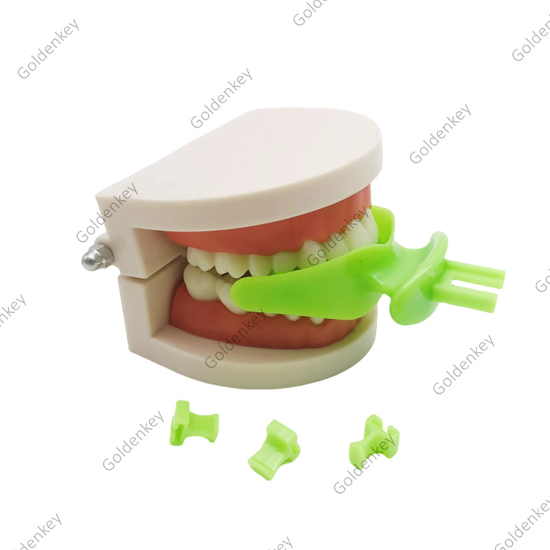 Dental Centric Trays BPS Tray Frame FCB Cut Articulator Occlusal Position Record