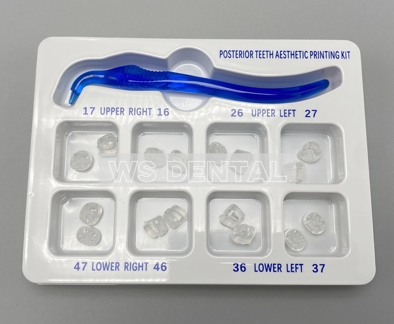Dental Veneers Mould Composite Resin Anterior Posterior Teeth Molar Restoration