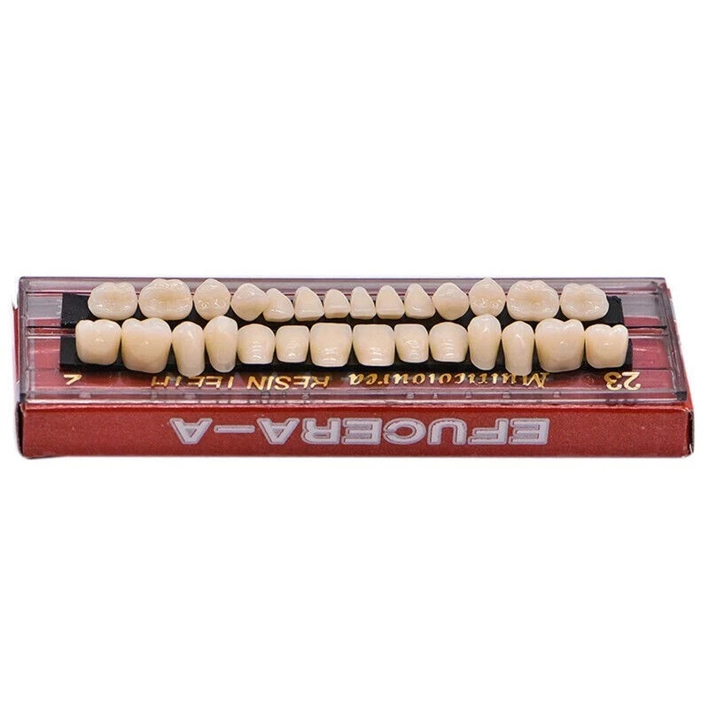 28 Pcs/Set Dental A2 A3 Acrylic Resin Denture Shade Full Set False Teeth #23