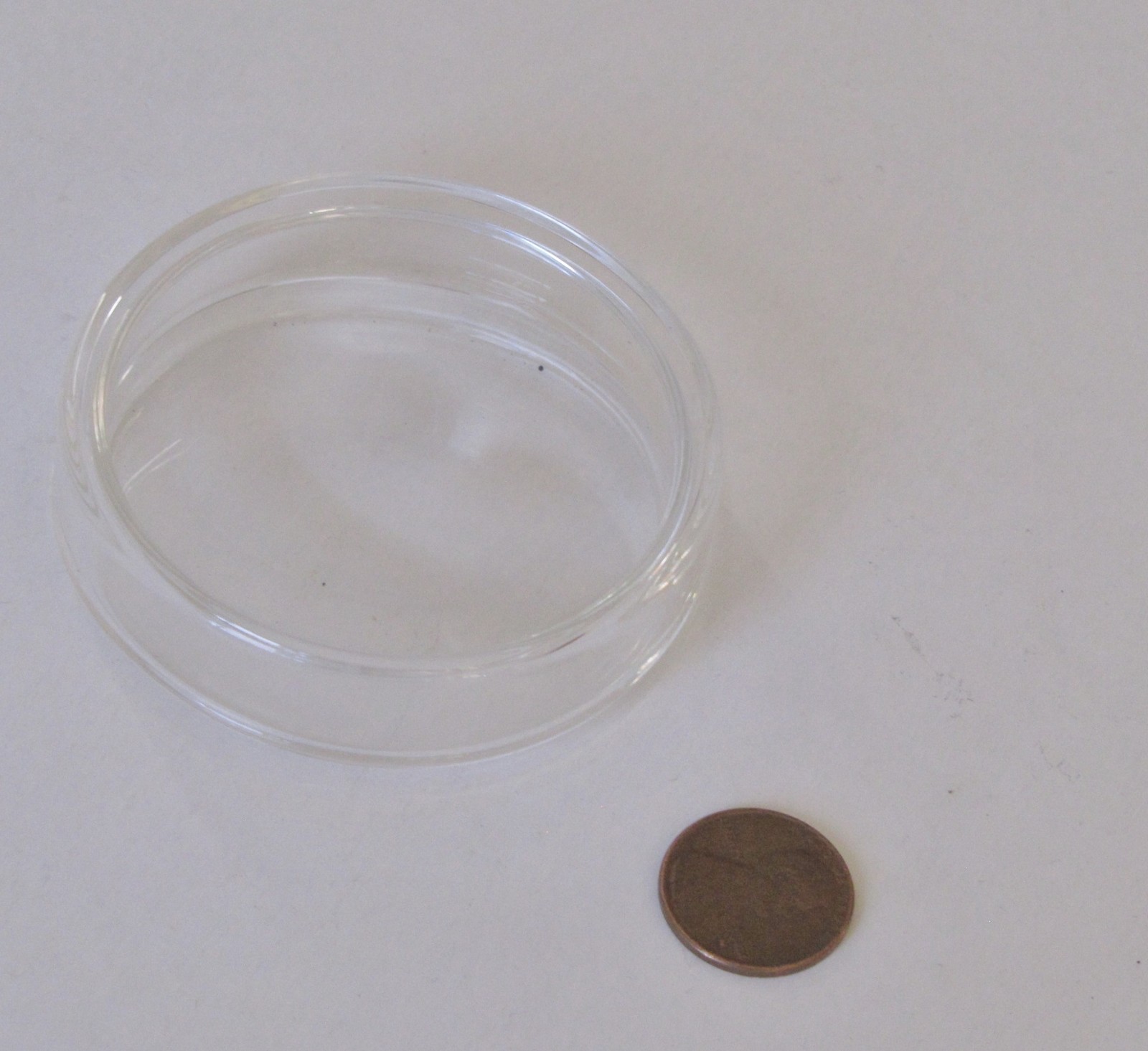 60mm Glass Petri Dish With Lab Cover Tissue Culture Plate Borosilicate Pack of 5