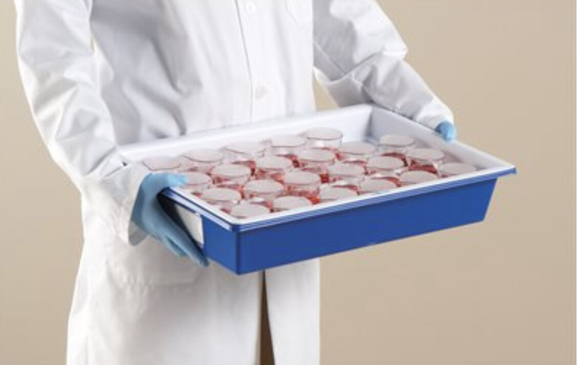 Urine Sample Storage / Collection Tray, Polystyrene, Blue/White – 1/EA
