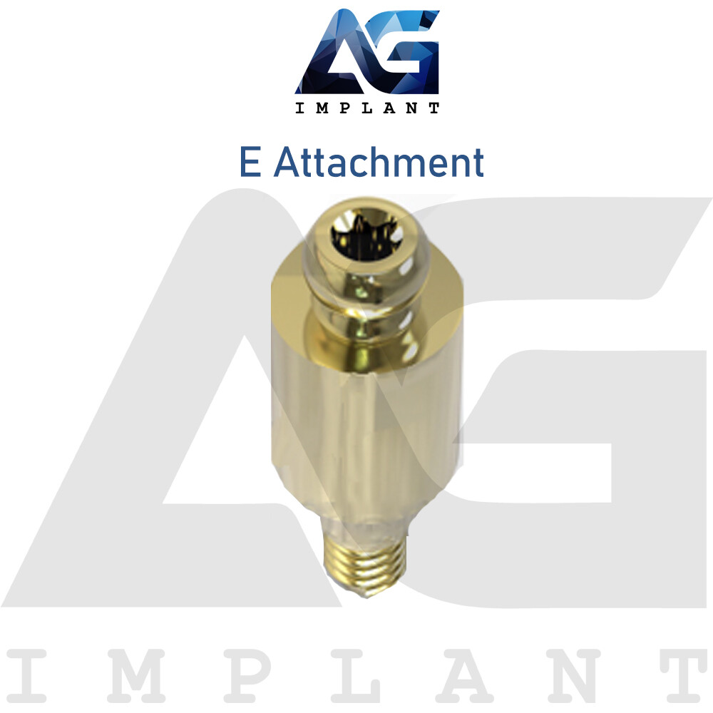 2 Straight E Attachment Hard Set Titanium Overdenture Int Hex