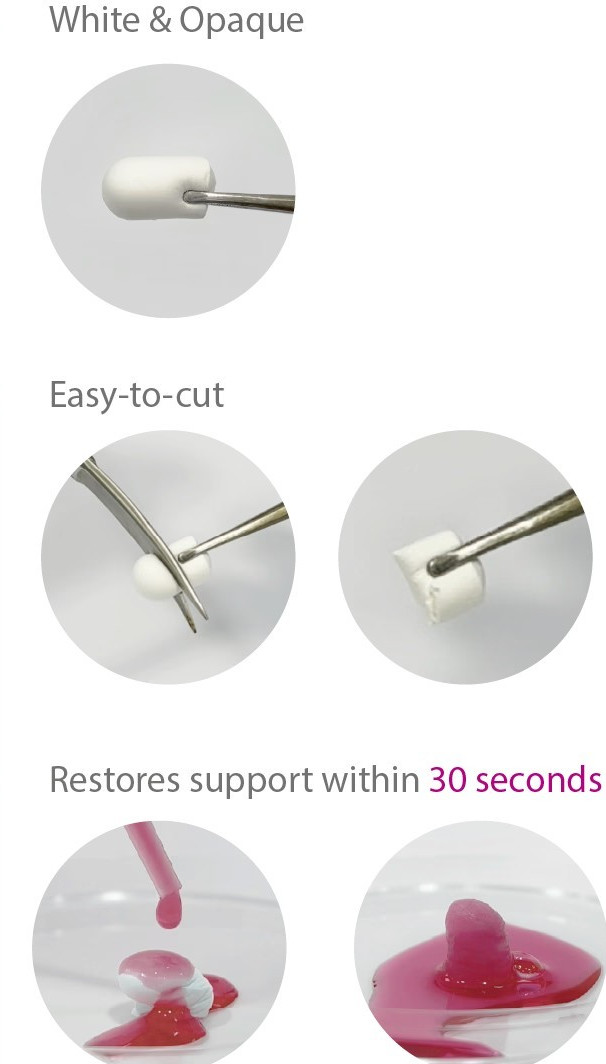 Purgo Gide Plug Absorbable Collagen Wound Dressing 10mm x 20mm, 10/Pk #HAD001020