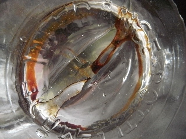 EXTREMELY ODD CONJOINED RIBBED & HORNED BOTTLE MADE IN FRANCE EACH W GLASS STRAW