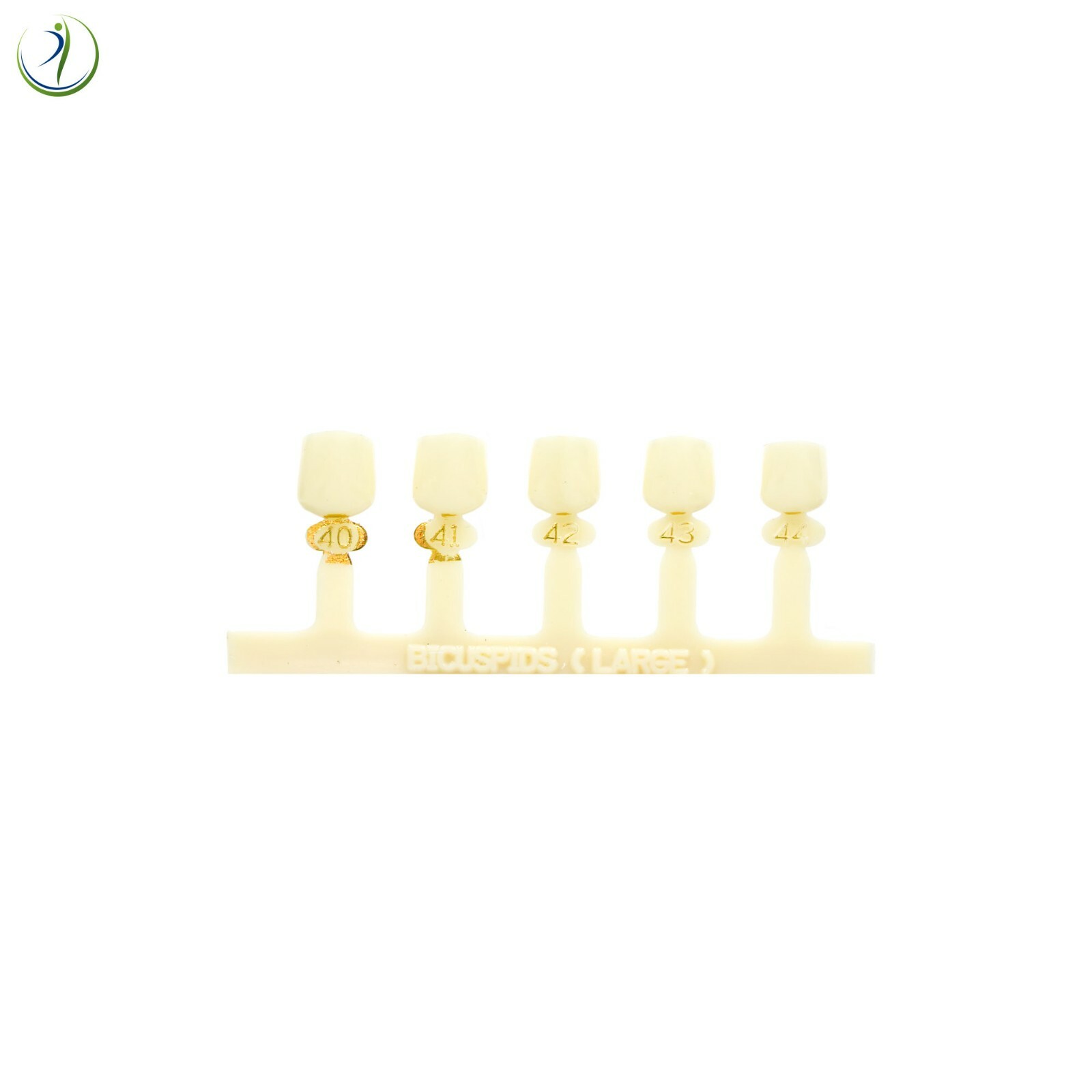 Tooth First Bicuspid Small Dental Temp Crowns Fillings Caps & Dentek Repair Kit